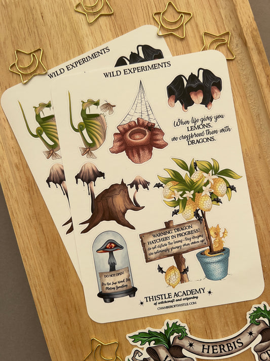 Wild experiments sticker sheet